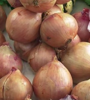 La Ferme de Goas Per - Ognon rose bio - 500gr