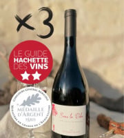 Domaine de la Chopinière du Roy - Lot de 3 Bouteilles de vin rouge Saint Nicolas de Bourgueil cuvée Sous la Robe 2023 - 3 x 75 cl