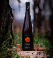 Domaine François WECK et fils - GOLD'R La colline d'or - Vin orange 2024 - 75cl x 3