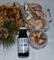 Trapon Champignons - PETIT COFFRET DE NOEL