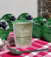 Lait Prairies du Boulonnais - Yaourt brassé Myrtille - 6 x 125g