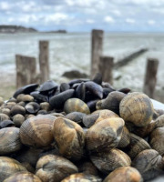Saint Kerber - Cancale - Mix de la mer 3kgs - Moules AOP/Palourdes/Bigorneaux