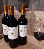 Vignobles Brunot - Saint-Emilion Grand Cru Rouge - Château Piganeau 2021 - 3x75cl