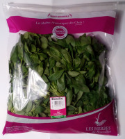 Les Herbes du Roussillon - Basilic Frais - 500g