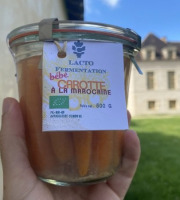 ChâteauFer - Lacto de Carotte à la marocaine 500g