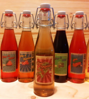 Les Vergers de la Vautée - Sirop d'Angélique 25cl