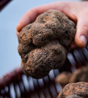 Truffes des Roches - Truffe noire Melanosporum