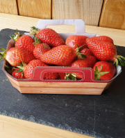 Gourmets de l'Ouest - Fraises de Saint-Malo - barquette 500g