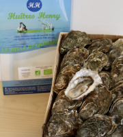 Huîtres Henry - 50 Huitres creuses BIO "La Belle de Quiberon" calibre 3 - 4kg