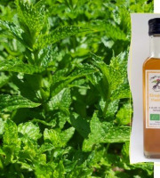 L'Agricueilleur du Suzon - Sirop de Menthe BIO - 50cl