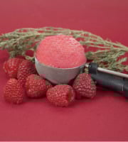 Sÿba - Glaces végétales - 1L - Sorbet Framboise Thym