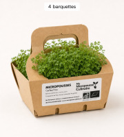 Ma Micropousse culinaire - Micro-pousses de cerfeuil Bio 4 barquettes