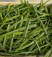 Nature et Saveurs - Ferme Aquaponique et Permacole Astérienne - Fanes de poireaux - 500g