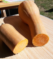 Ferme de Cernunnos - Portion de courge Longue de Nice - 2 kg