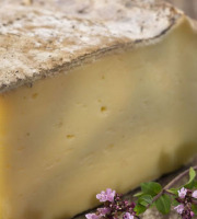 Maréchal Fraicheur - Tomme de Savoie IGP