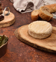 Fromage Gourmet - Saint Félicien - Lot de 3