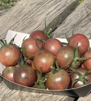 Ferme Sinsac - Tomate black cherry