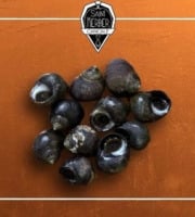 Saint Kerber - Cancale - Mix de la mer 3kgs - Moules STG/Amandes/Bigorneaux