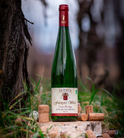 Domaine François WECK et fils - Gewurztraminer Cuvée "Prestige" 2023 - 75 cl x12