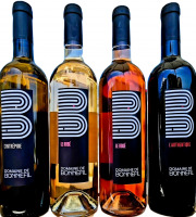 Domaine de Bonnefil - Coffret découverte 6 bouteilles