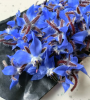 Rébecca les Jolies Fleurs - Mûres