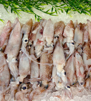 Ocean Frais - Encornet Chipiron entier - lot de 1kilo