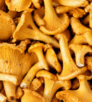 Naturélium - Girolles fraîches françaises – Cueillette sauvage, 500 g