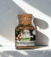 Adal Terra - Epices - Coriandre Bio (en poudre) 60G