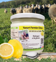 Dessine moi une brebis - Yaourt Brebis Citron 320g