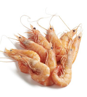 Le Termer - Crevettes roses 40/60