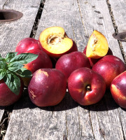 La Boite à Herbes - Nectarine jaune bio 1 kg