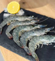 Agriloops - Gambas de Bretagne 4kg (calibre 30-50)