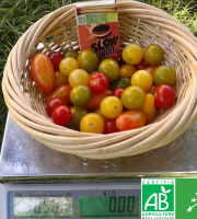 LES JARDINS DE KARINE - Tomates cerises en mélange - 500g