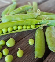 Les Jardins de Gérard - Petit Pois Bio - 400 g