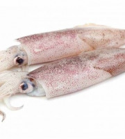 Poissonnerie La Piriacaise - encornet entiers non nettoyés