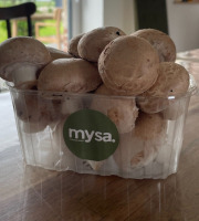Mysa - Champignons de Paris bruns 1kg