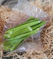 Les Jardins de Gérard - Céleri branche sous-vide - 250 g