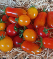 Les Jardins de Gérard - Tomate cerise méli-mélo Bio - 1 kg