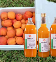 Gobert, l'abricot de 4 générations - 6kg d'abricots et 3 nectars différents