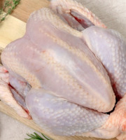 La Ferme Durbois - [Précommande] Poularde de NOEL- 2,3Kg