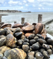 Saint Kerber - Cancale - Mix de la mer 3kgs - Amandes/Palourdes/Bigorneaux