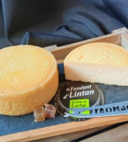 La Ferme de Lintan - Fondant d'Lintan - environ 420g x 8