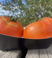 Ferme Sinsac - Tomate legend a farcir