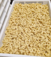 Lioravi, l'authentique pâte fraîche ! - [Précommande] Pâtes Fraîches - Creste Bio - 1kg