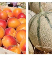 Domaine Reverchon - Melon du Vaucluse x 2 + 2 kg Abricots