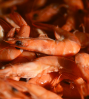 Thalassa Tradition - Crevettes roses 2kg