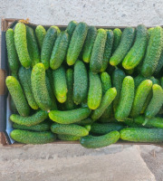Ferme de la ville basse - Cornichons  Bio Fin frais