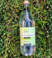 Betulame, les bienfaits du bouleau - Sève de bouleau pasteurisée 6x1L