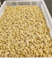 Lioravi, l'authentique pâte fraîche ! - [Précommande] Conchiglie Bio - 1kg