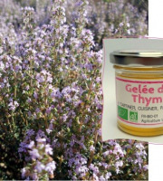 L'Agricueilleur du Suzon - Gelée de thym Bio